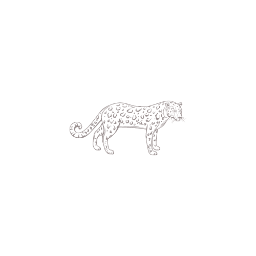 This image has an empty alt attribute; its file name is Jaguar-Sketch-1.png
